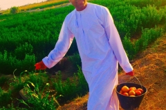 Mubarak-Al-Hadadi-Carrying-Tomatto