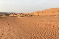 Oman Sands